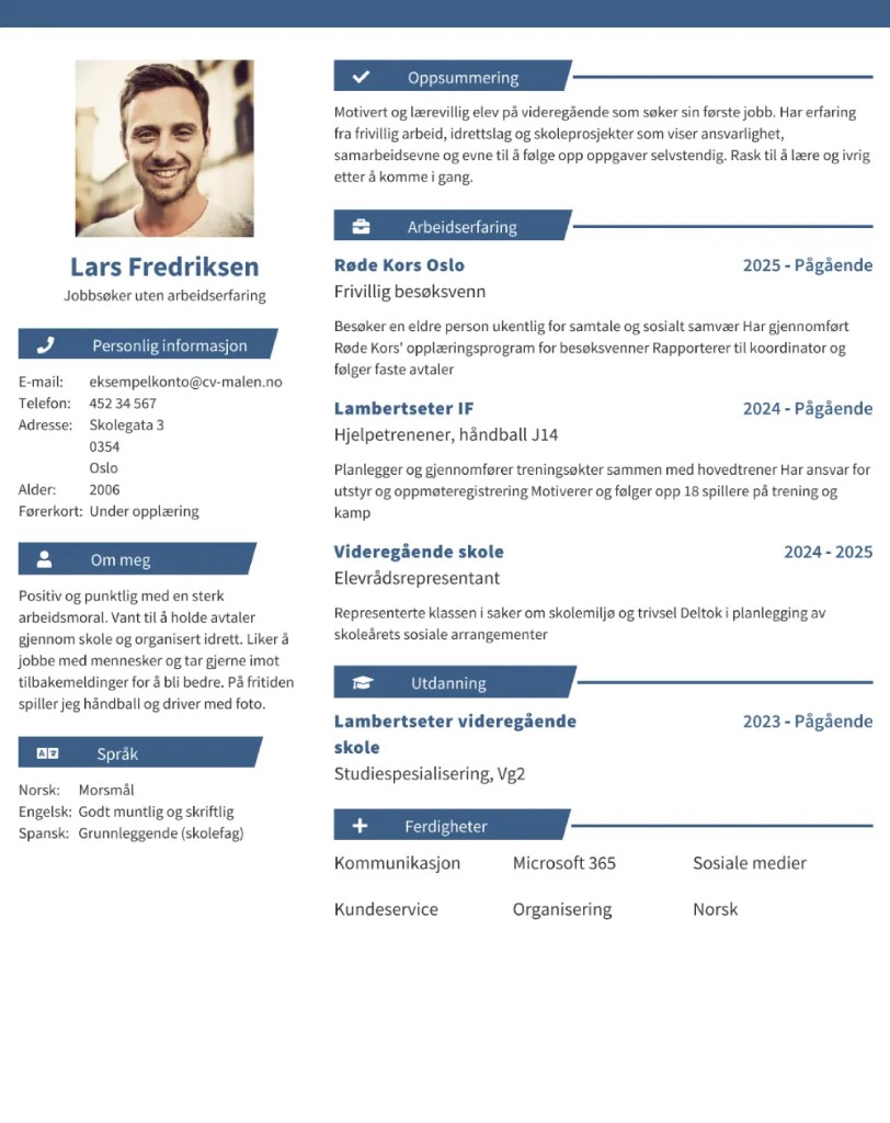 CV-mal Dublin – To-kolonneoppsett med sirkulære ferdighetsvurderinger