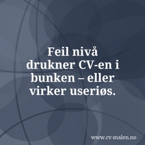 Kreativ CV-mal – hvor langt kan du egentlig gå?