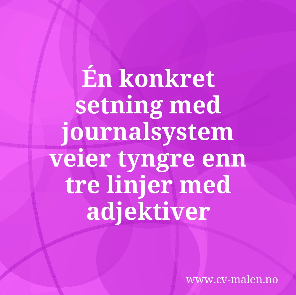 Én konkret setning med journalsystem veier tyngre enn tre linjer med adjektiver
