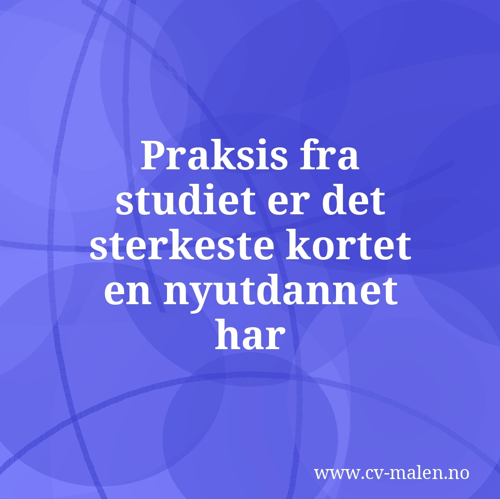 Praksis fra studiet er det sterkeste kortet en nyutdannet har