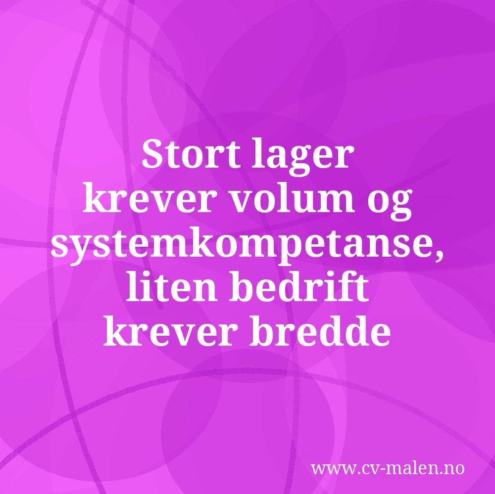 Stort lager krever volum og systemkompetanse, liten bedrift krever bredde